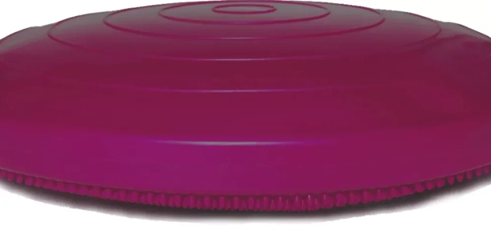 FitPAWS Balance Disc Razzleberry 56 cm